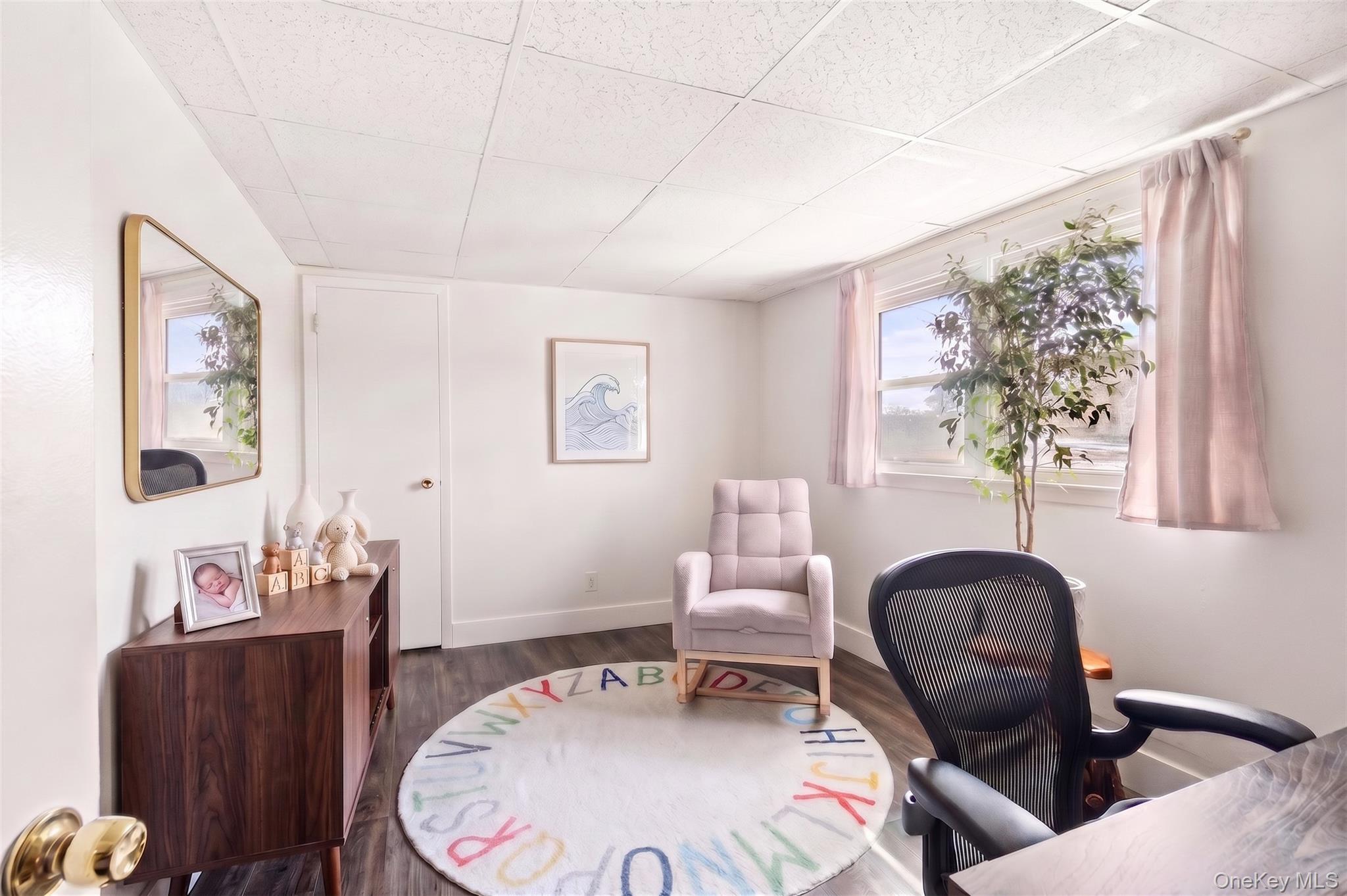 Single Family Erlwein  Nassau County, NY 11758, MLS-984867-16