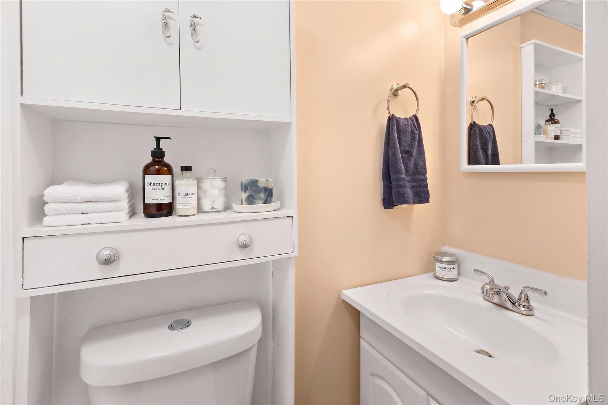 Single Family Erlwein  Nassau County, NY 11758, MLS-984867-17