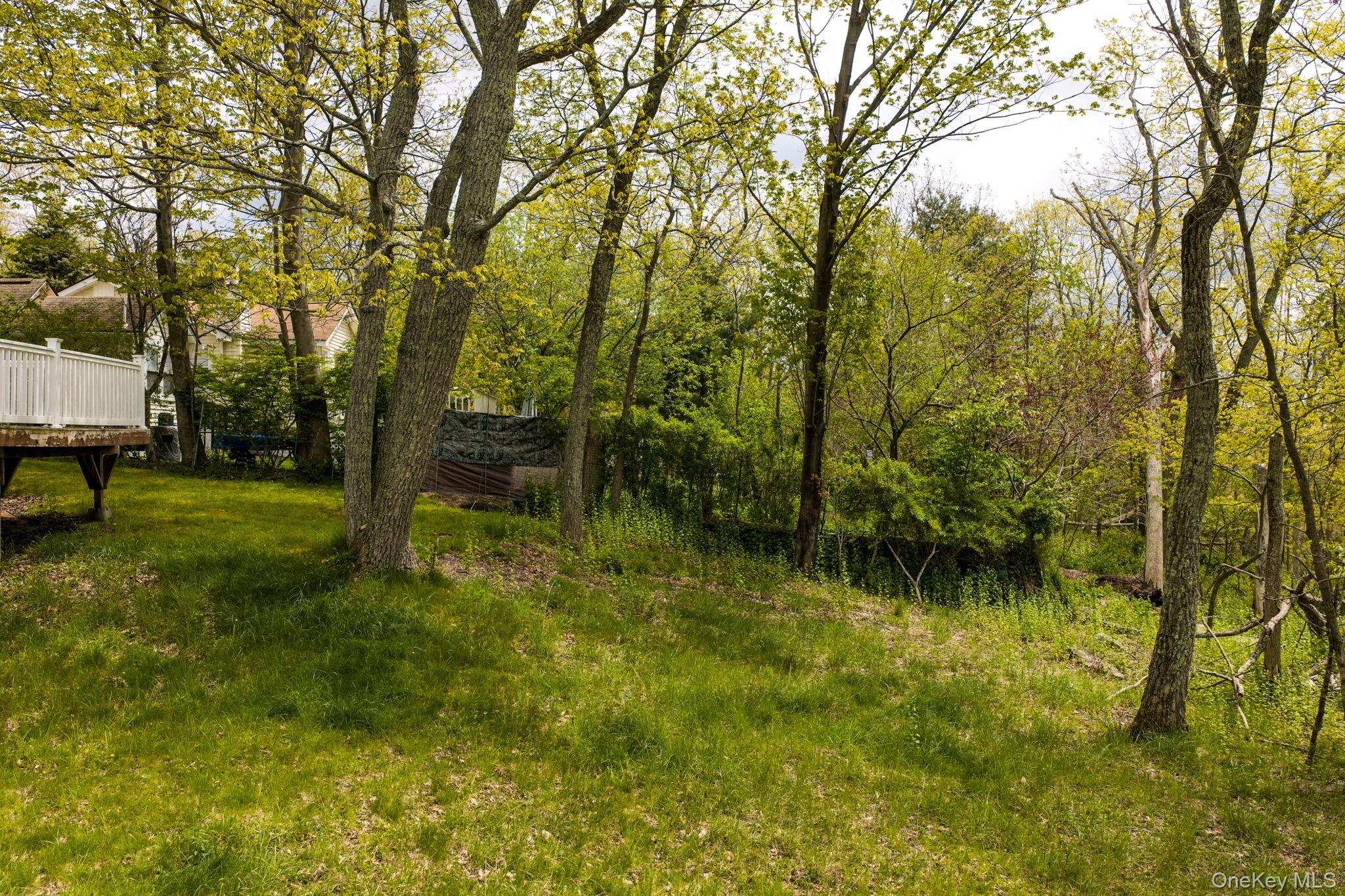 Single Family Chestnut Street W Sullivan County, NY 12790, MLS-984879-21