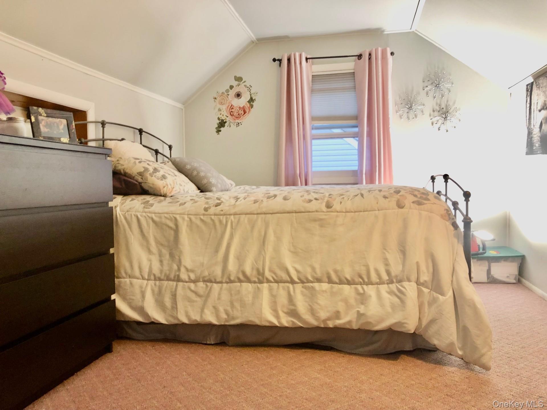 Single Family Hendrickson  Nassau County, NY 11580, MLS-984934-17