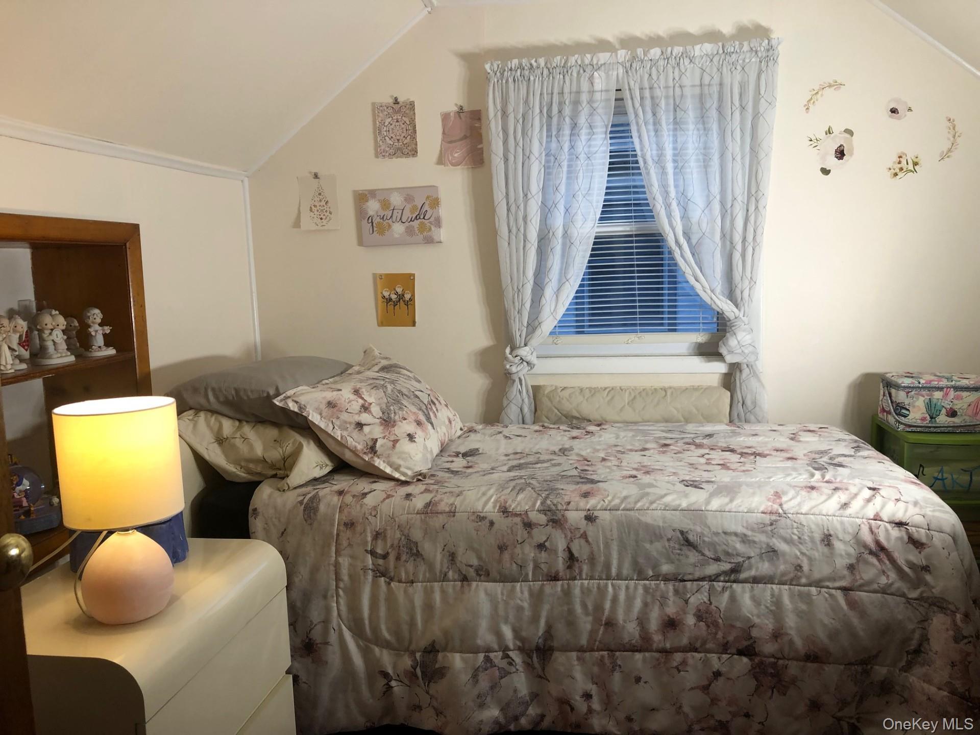 Single Family Hendrickson  Nassau County, NY 11580, MLS-984934-18