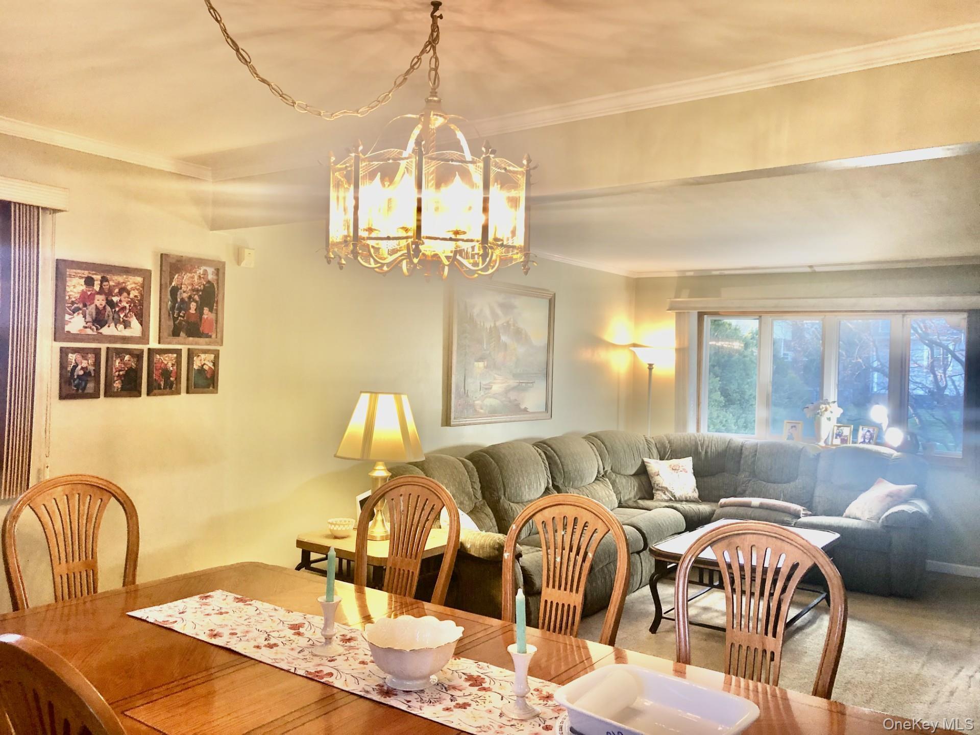 Single Family Hendrickson  Nassau County, NY 11580, MLS-984934-3