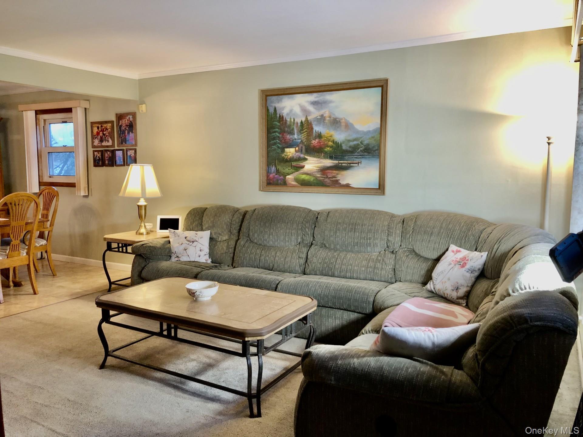 Single Family Hendrickson  Nassau County, NY 11580, MLS-984934-4