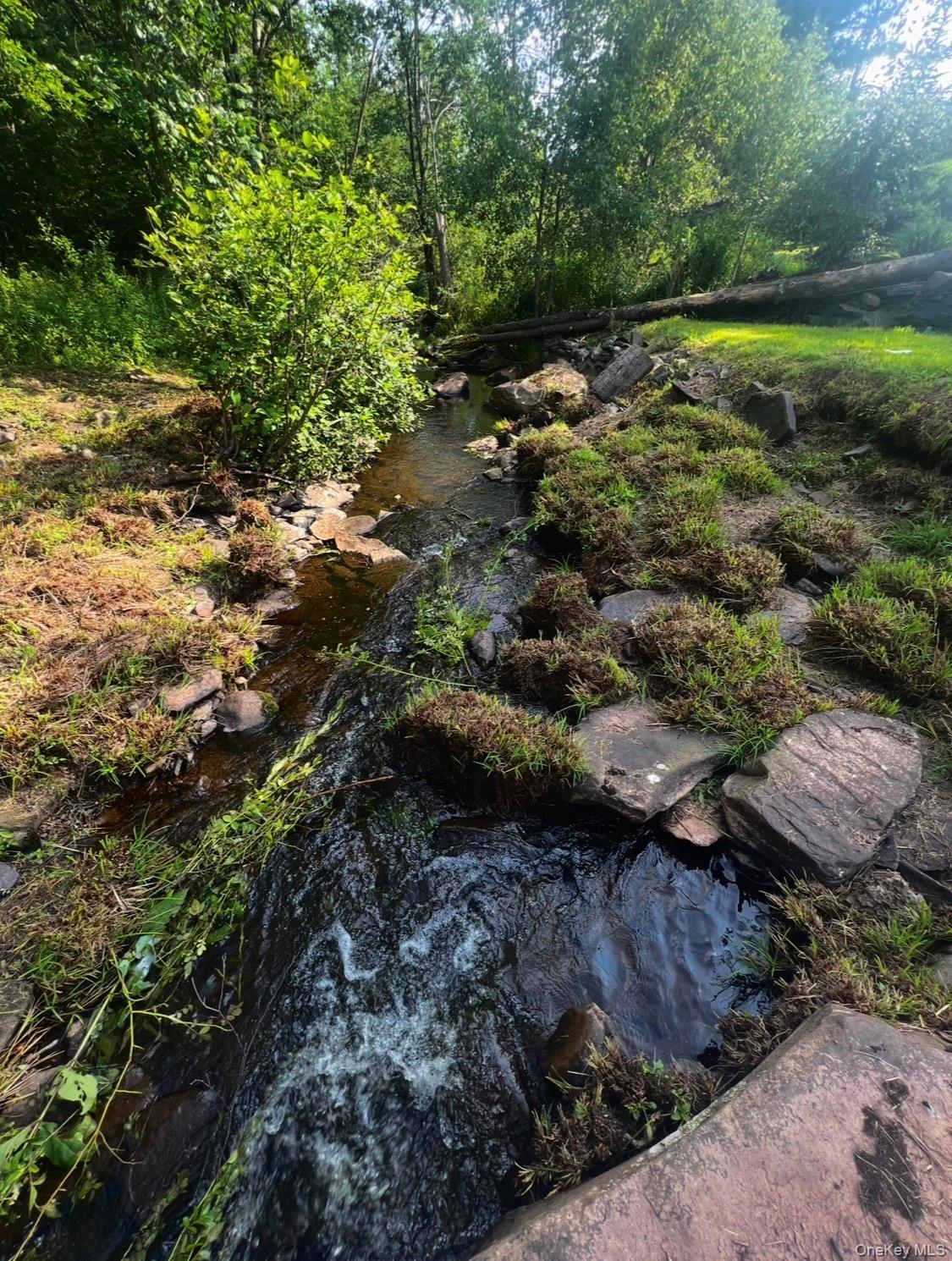 Single Family Mitchell Hollow  Greene County, NY 12496, MLS-984941-20