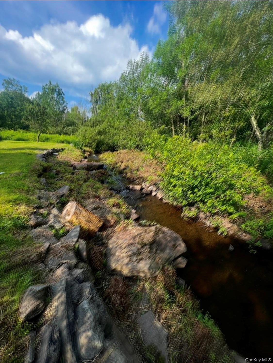 Single Family Mitchell Hollow  Greene County, NY 12496, MLS-984941-21