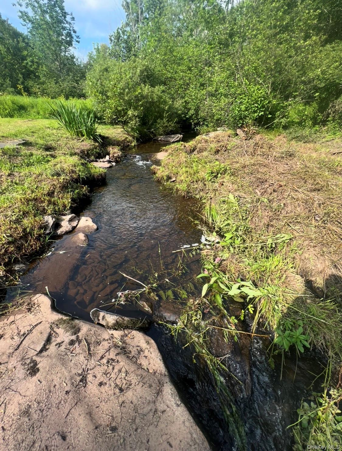 Single Family Mitchell Hollow  Greene County, NY 12496, MLS-984941-22