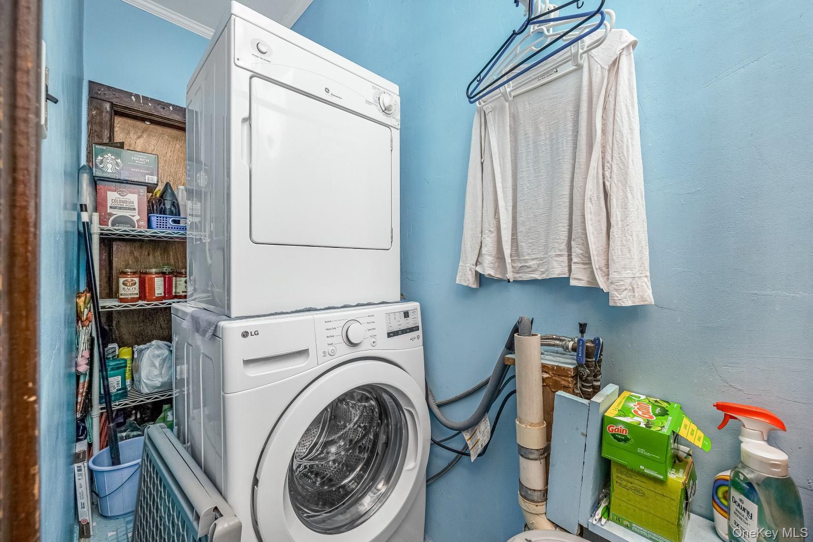 Single Family 83rd Street Queens, NY 11379, MLS-984949-25