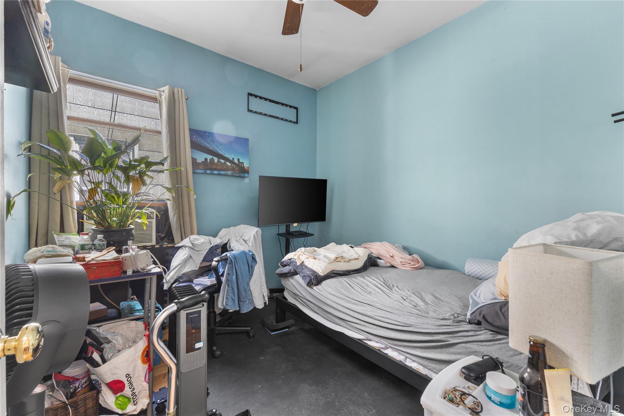Single Family Linden Queens, NY 11417, MLS-984958-8