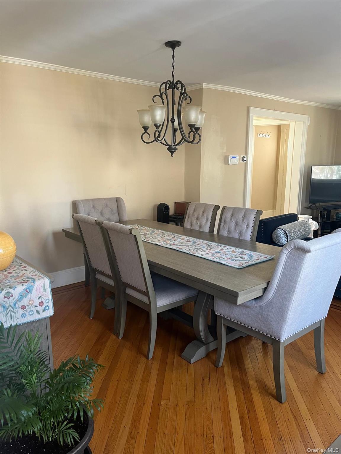 Single Family Carstairs  Nassau County, NY 11581, MLS-984976-6