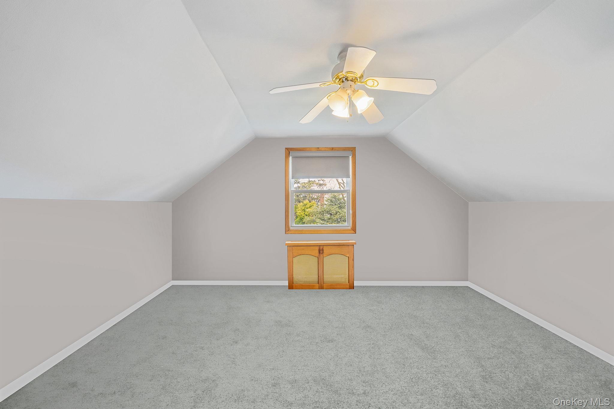 Single Family Clifton  Nassau County, NY 11793, MLS-984997-12