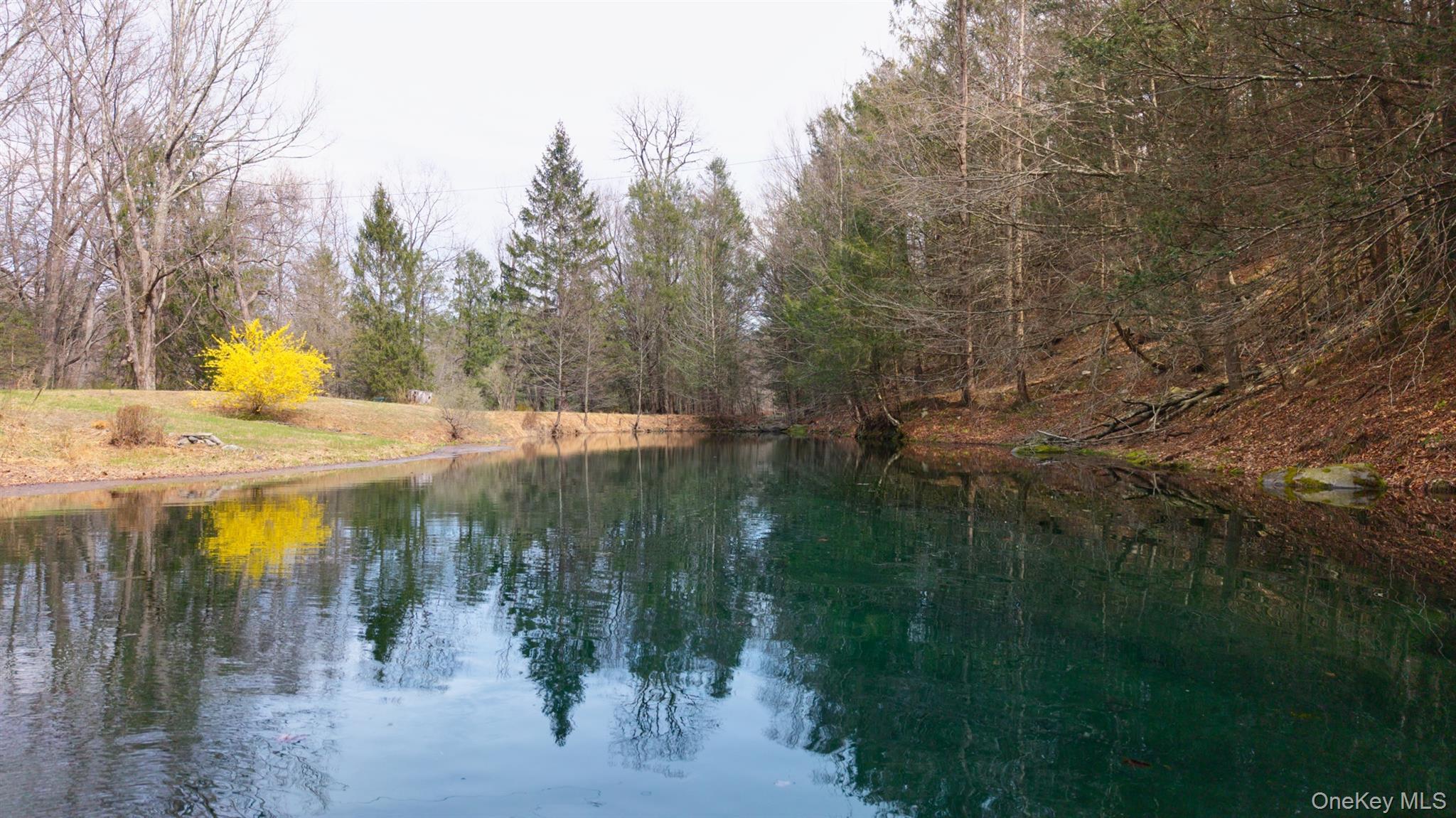 Single Family Watson Hollow Road Ulster County, NY 12494, MLS-985068-45