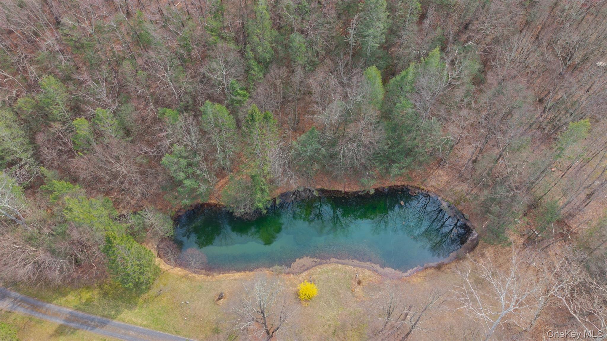 Single Family Watson Hollow Road Ulster County, NY 12494, MLS-985068-46