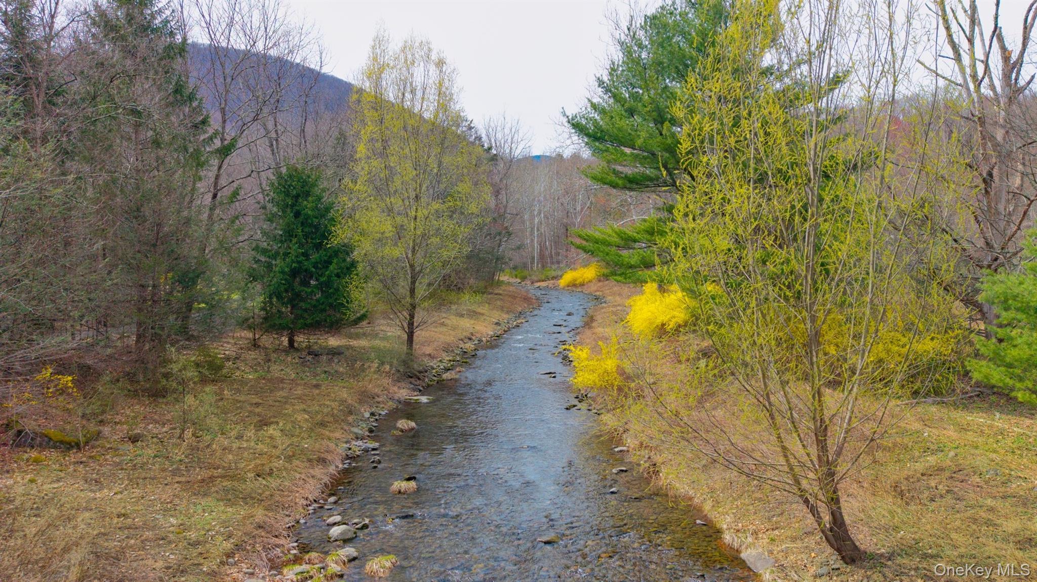 Single Family Watson Hollow Road Ulster County, NY 12494, MLS-985068-47