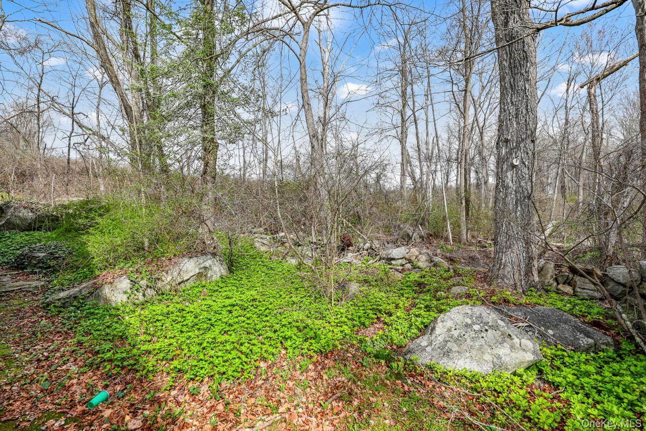 Single Family North  Putnam County, NY 10541, MLS-985070-24