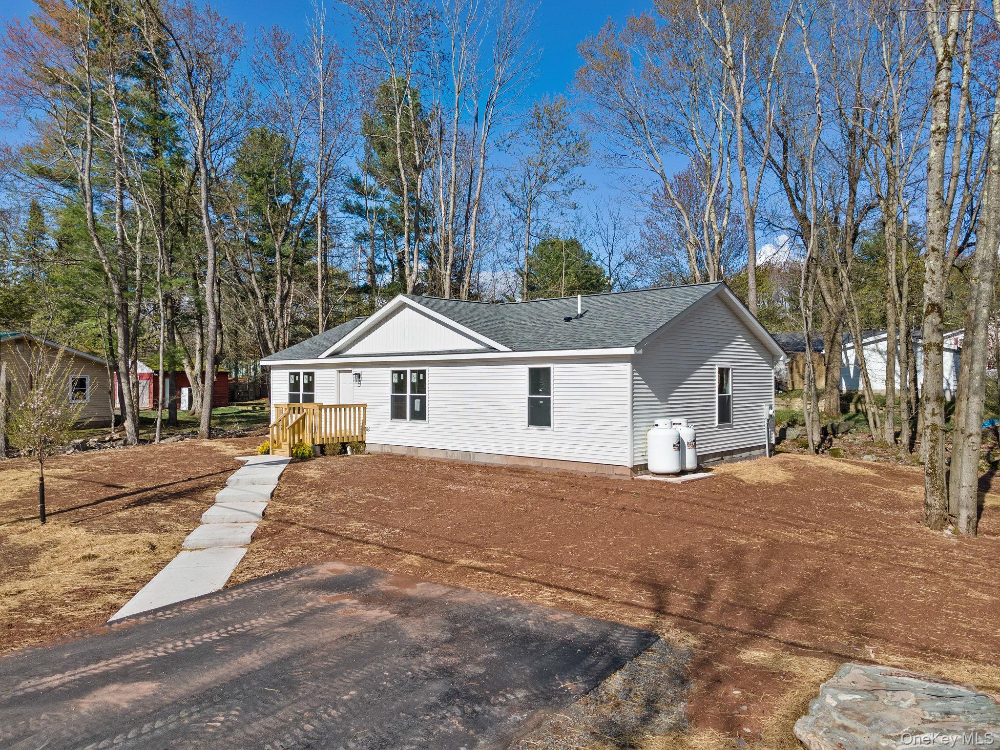 Single Family Park Avenue Sullivan County, NY 12701, MLS-985084-2