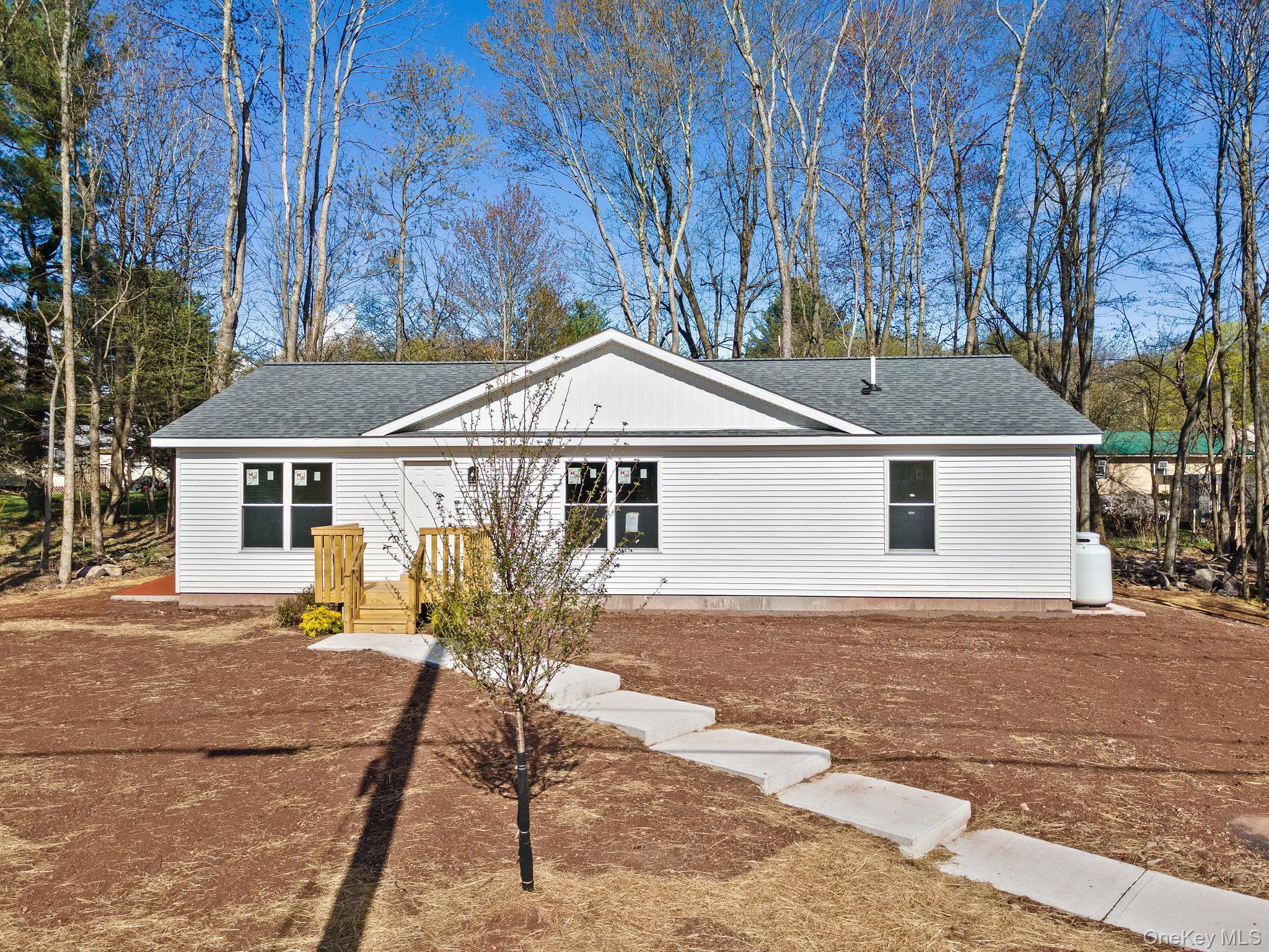 Single Family Park Avenue Sullivan County, NY 12701, MLS-985084-3