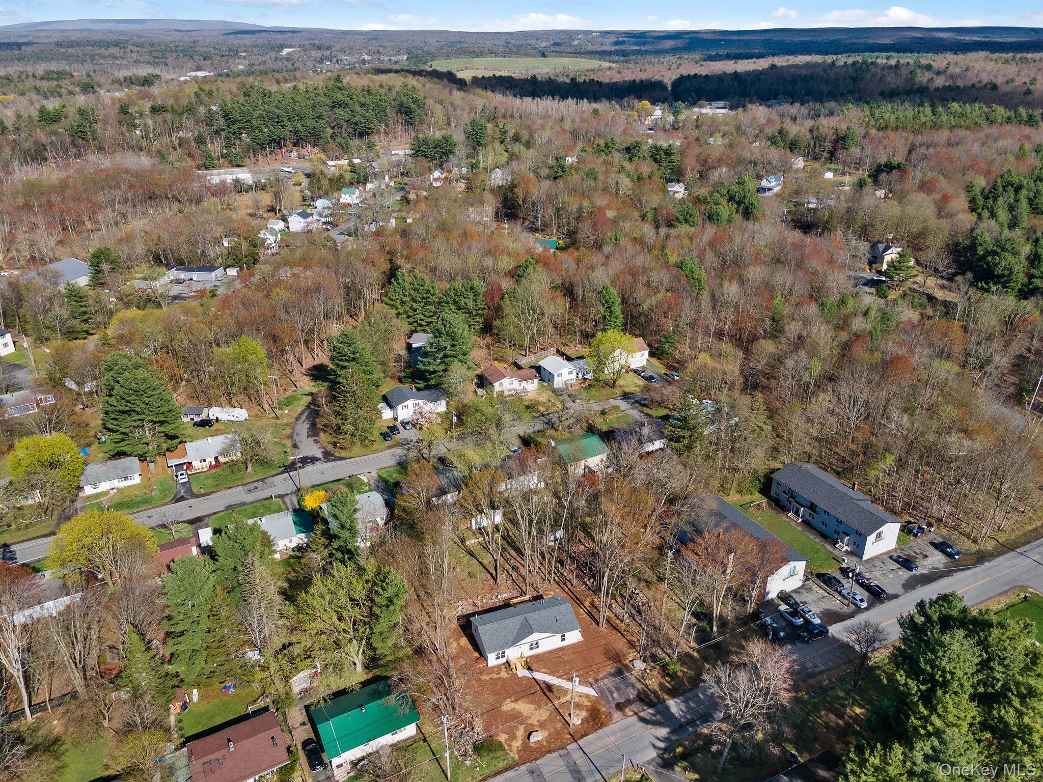 Single Family Park Avenue Sullivan County, NY 12701, MLS-985084-30