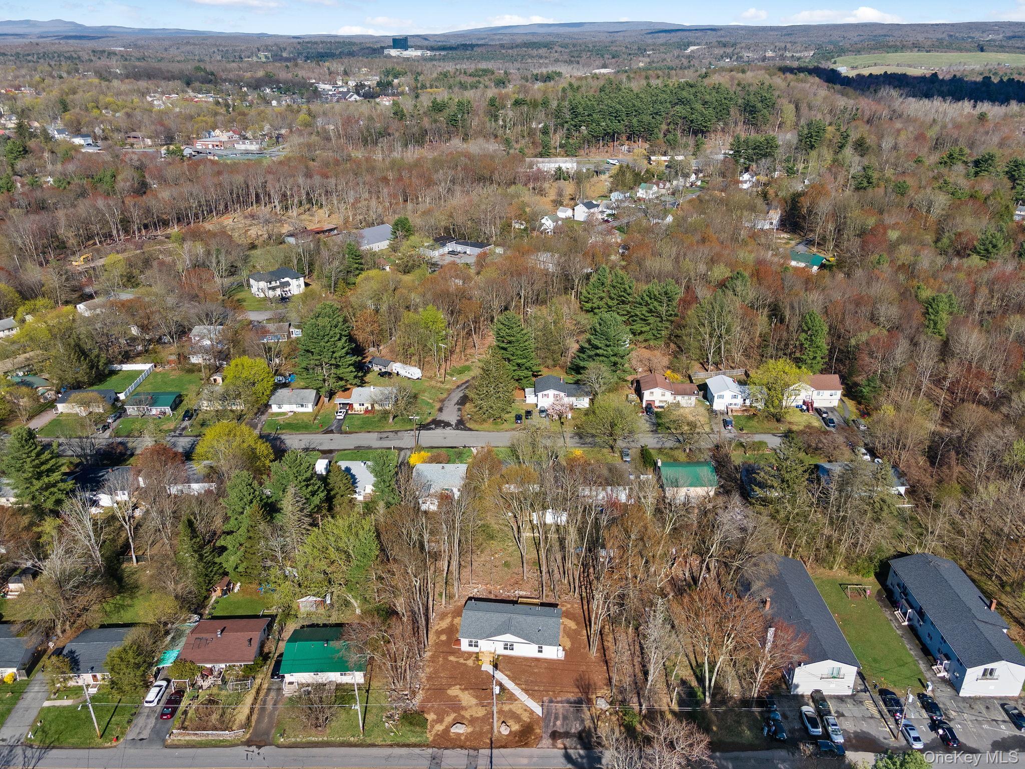 Single Family Park Avenue Sullivan County, NY 12701, MLS-985084-31