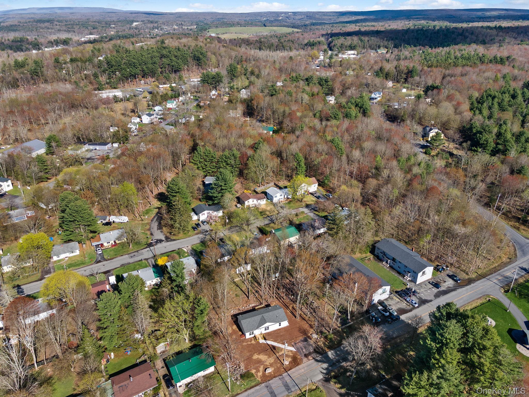 Single Family Park Avenue  Sullivan County, NY 12701, MLS-985084-38