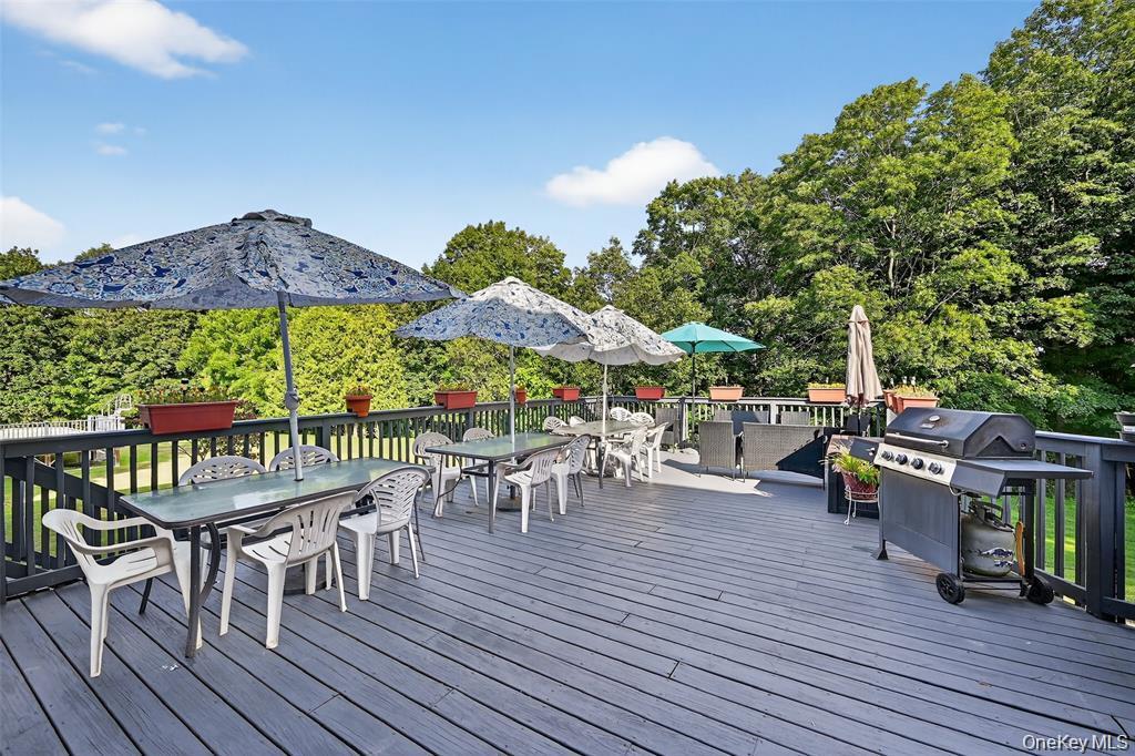 Single Family Greeves  Orange County, NY 10958, MLS-985101-34