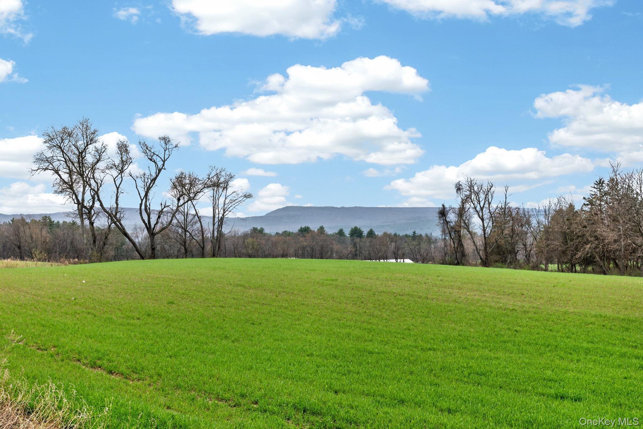 Single Family Airport  Ulster County, NY 12404, MLS-985209-32