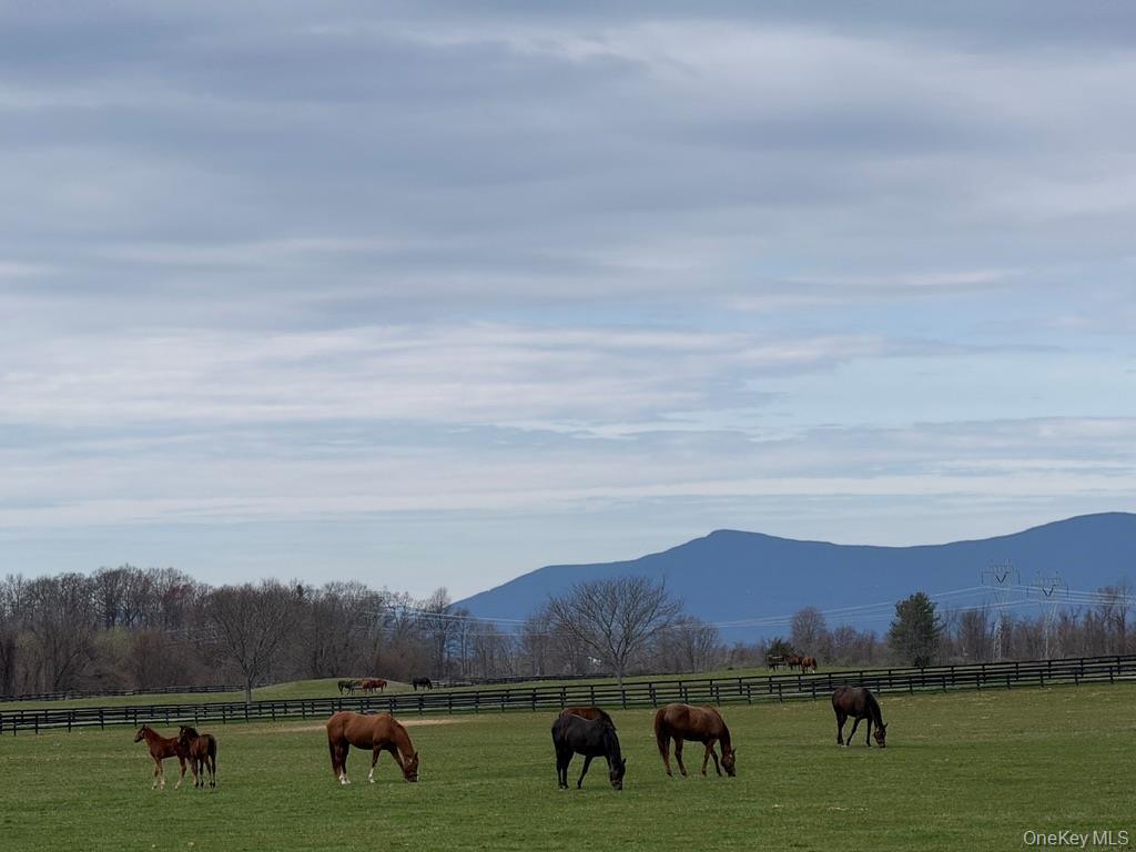 Single Family Lockwood And Schuderhook  Columbia County, NY 12534, MLS-985247-21