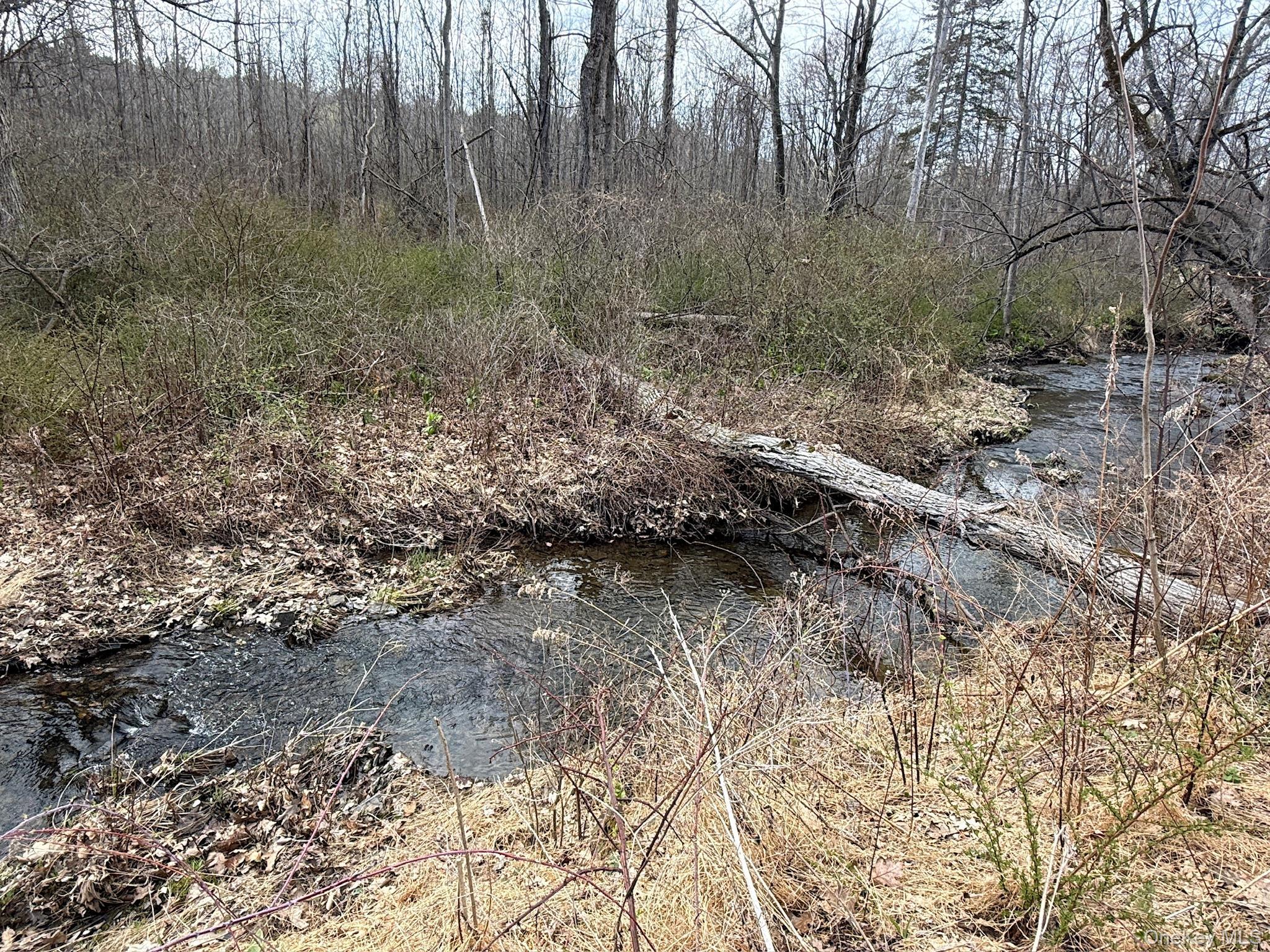 Single Family Lockwood And Schuderhook  Columbia County, NY 12534, MLS-985247-4