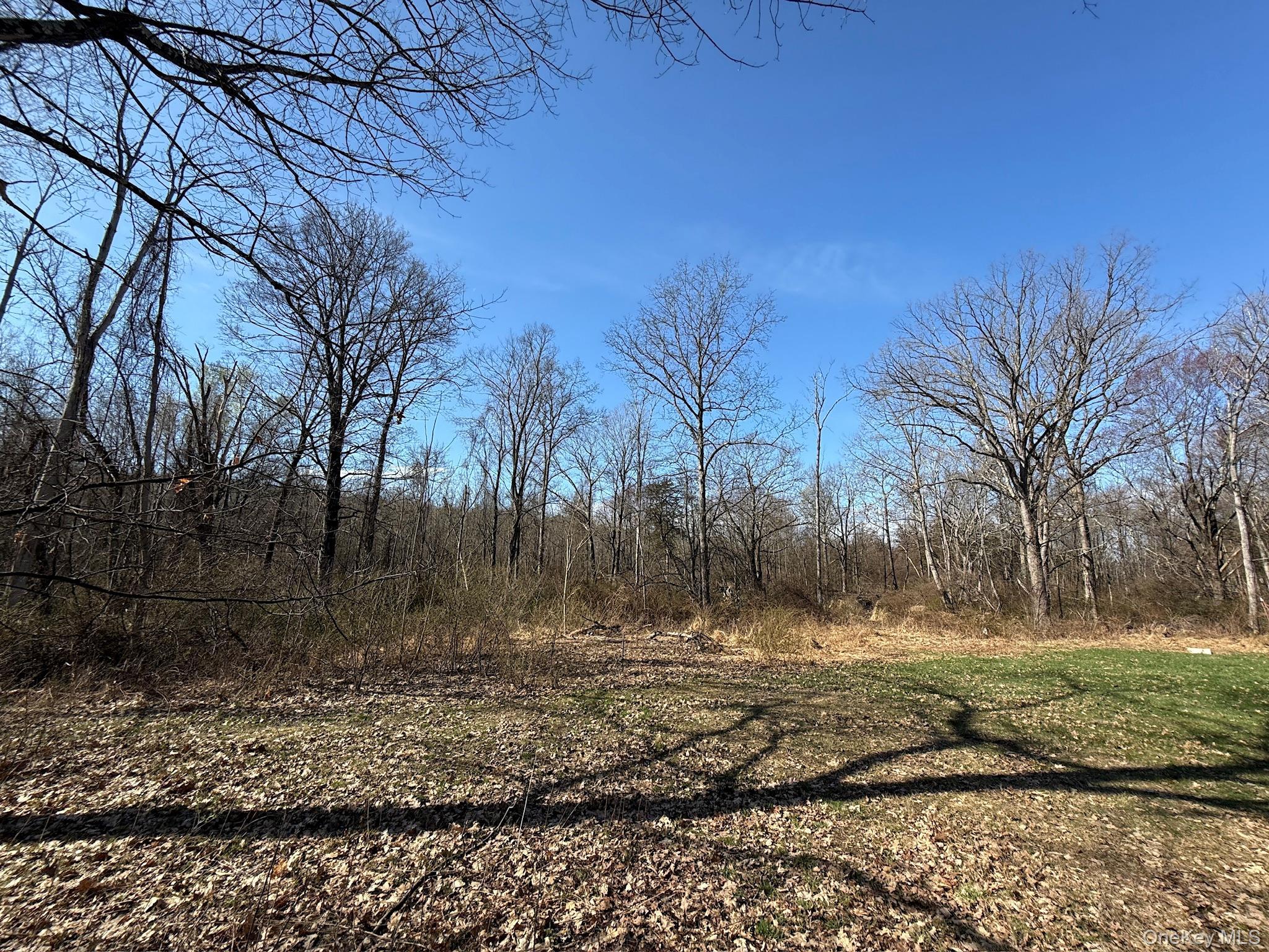 Single Family Lockwood And Schuderhook  Columbia County, NY 12534, MLS-985247-5