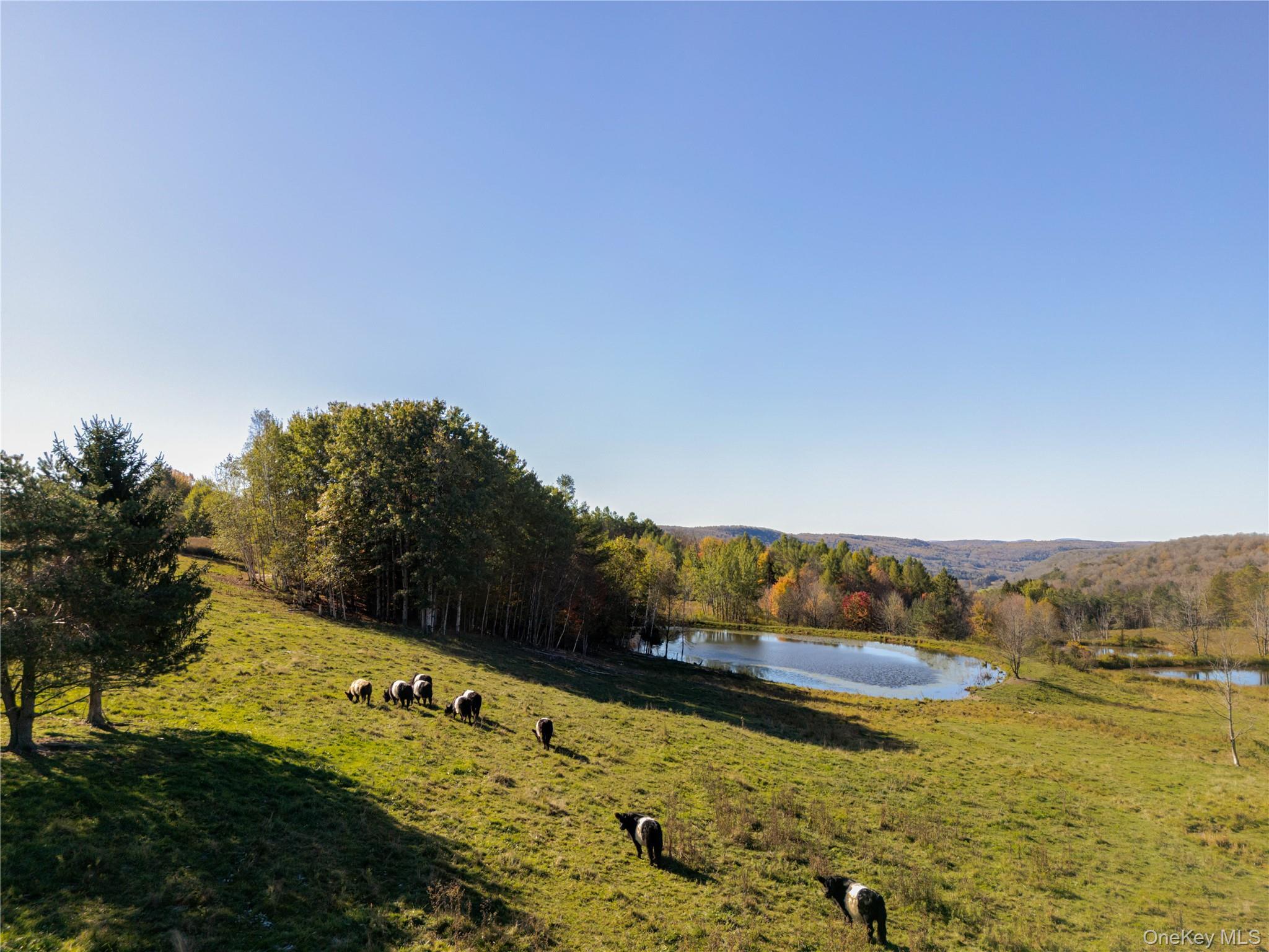 Single Family High Pond  Out Of Area, NY 12149, MLS-985336-7