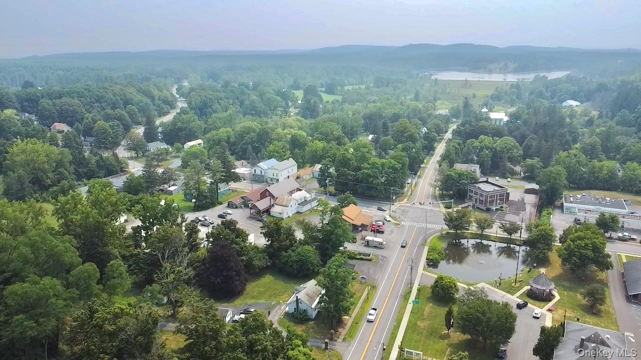 Single Family State Route 32 Greene County, NY 12083, MLS-985455-2
