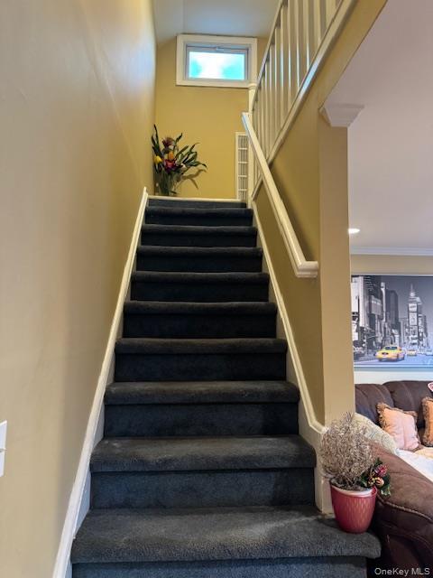 Single Family Princeton  Nassau County, NY 11793, MLS-985550-12