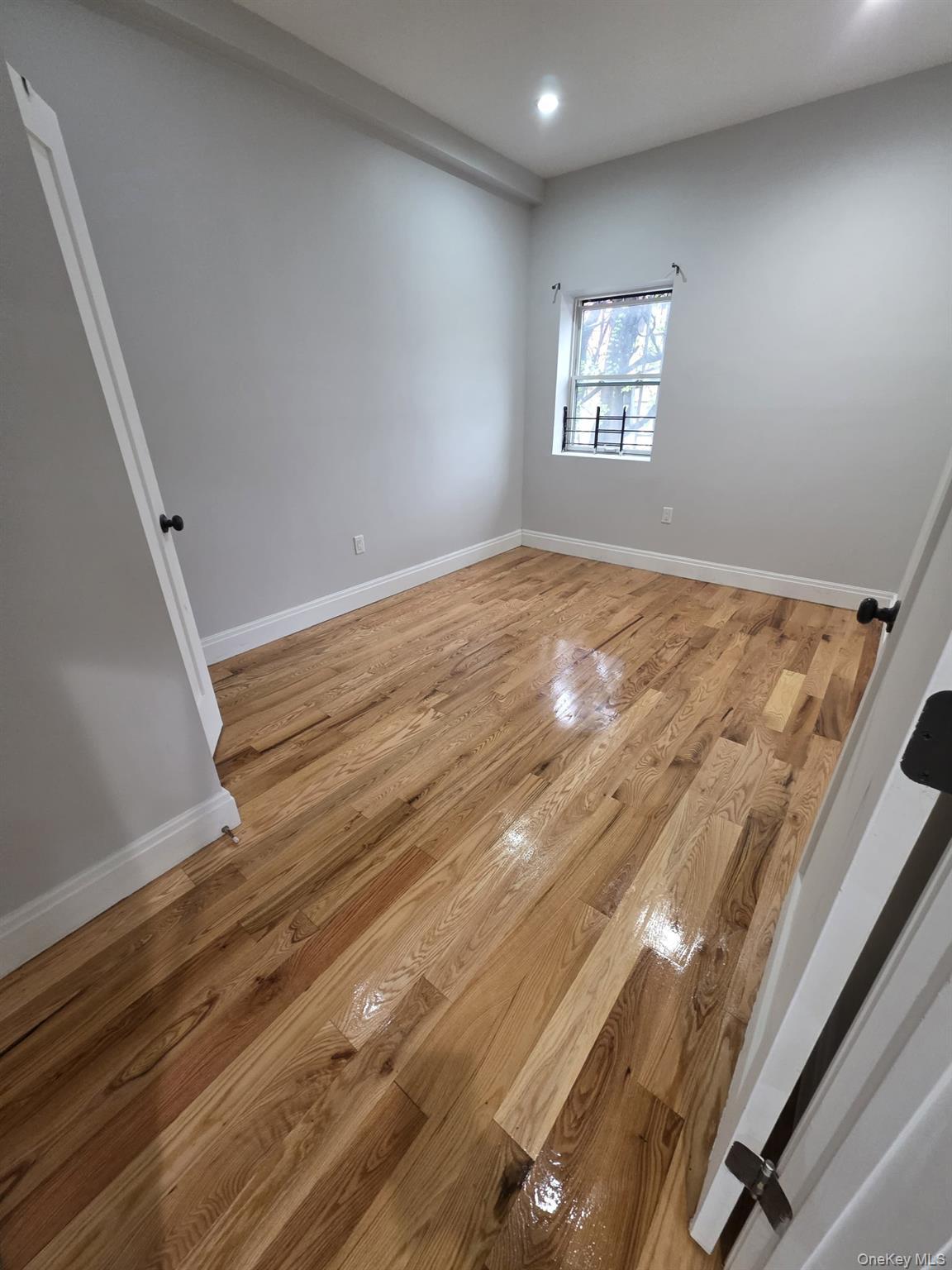 Apartment 54th  Brooklyn, NY 11203, MLS-985565-4