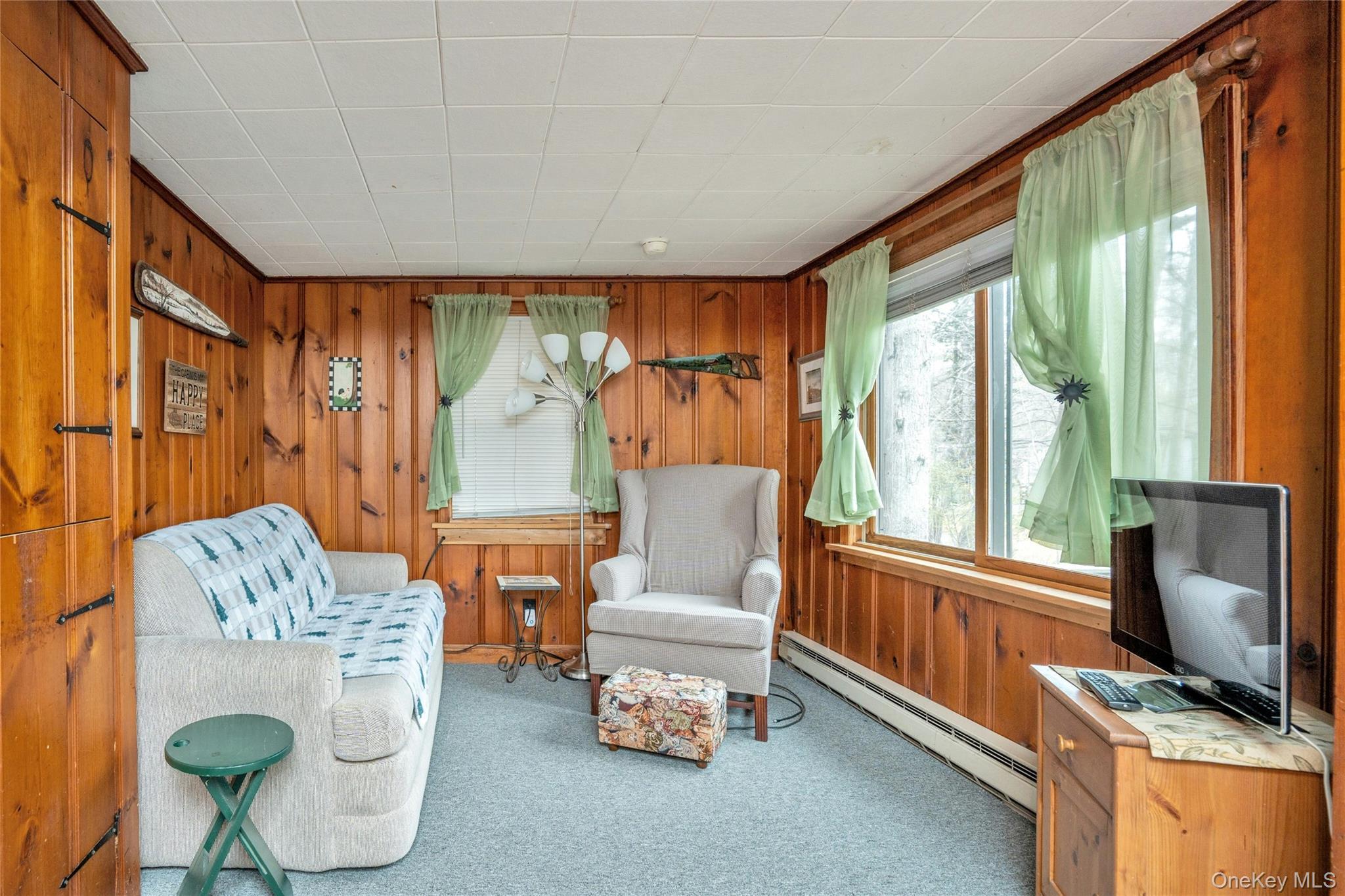 Single Family Nymph  Suffolk County, NY 11778, MLS-985576-5