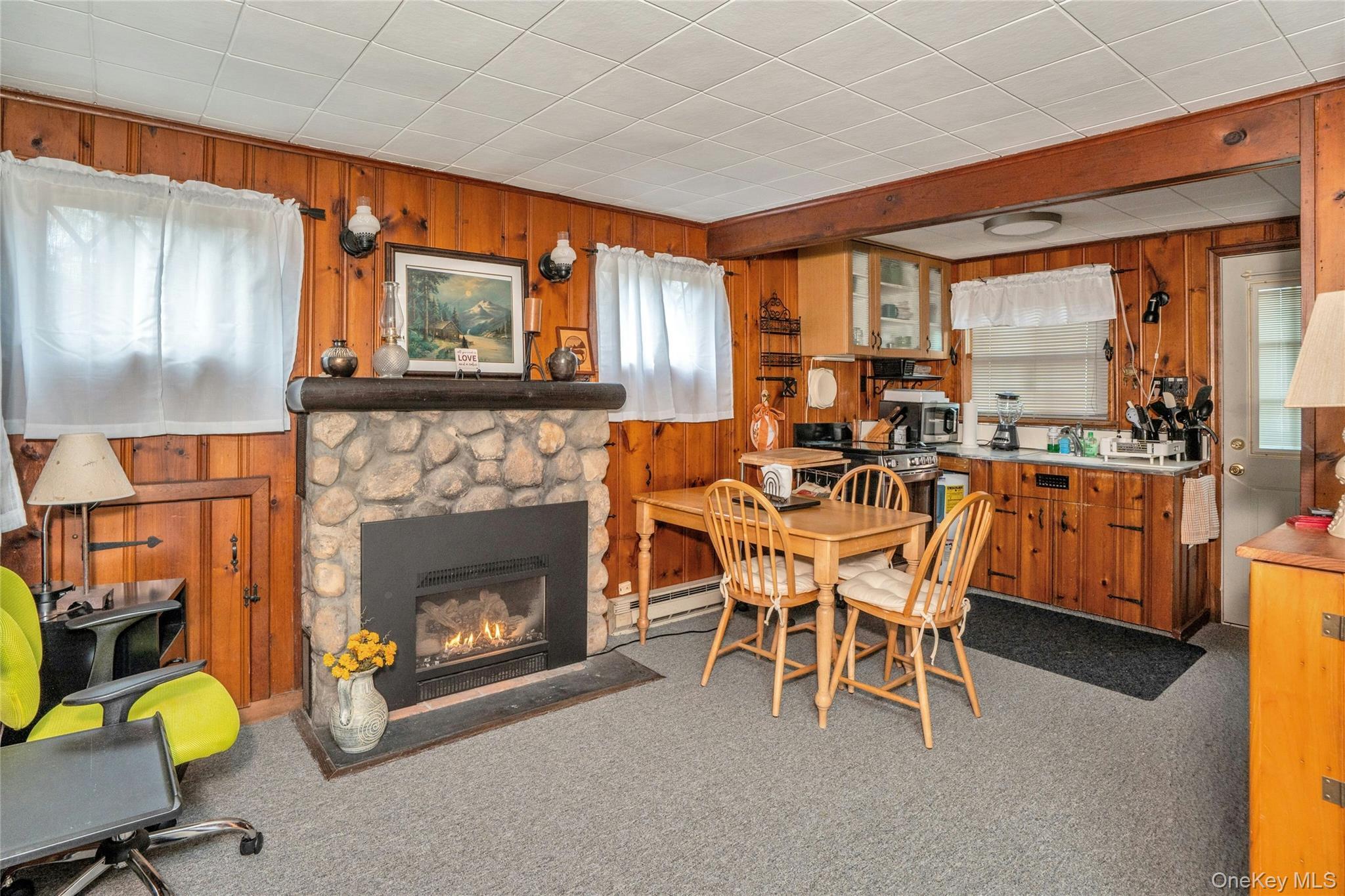 Single Family Nymph  Suffolk County, NY 11778, MLS-985576-7