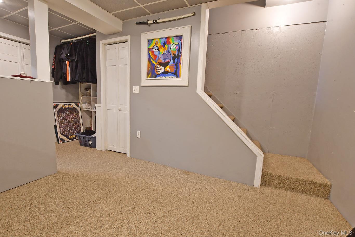 Single Family Bicycle  Suffolk County, NY 11784, MLS-985604-16