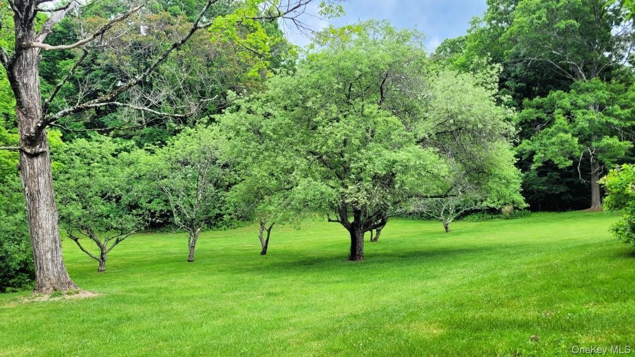 Single Family Old Route 199  Dutchess County, NY 12571, MLS-985647-34