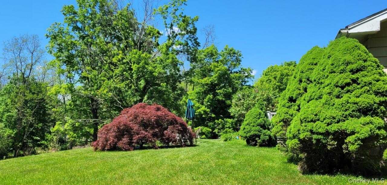 Single Family Old Route 199  Dutchess County, NY 12571, MLS-985647-5