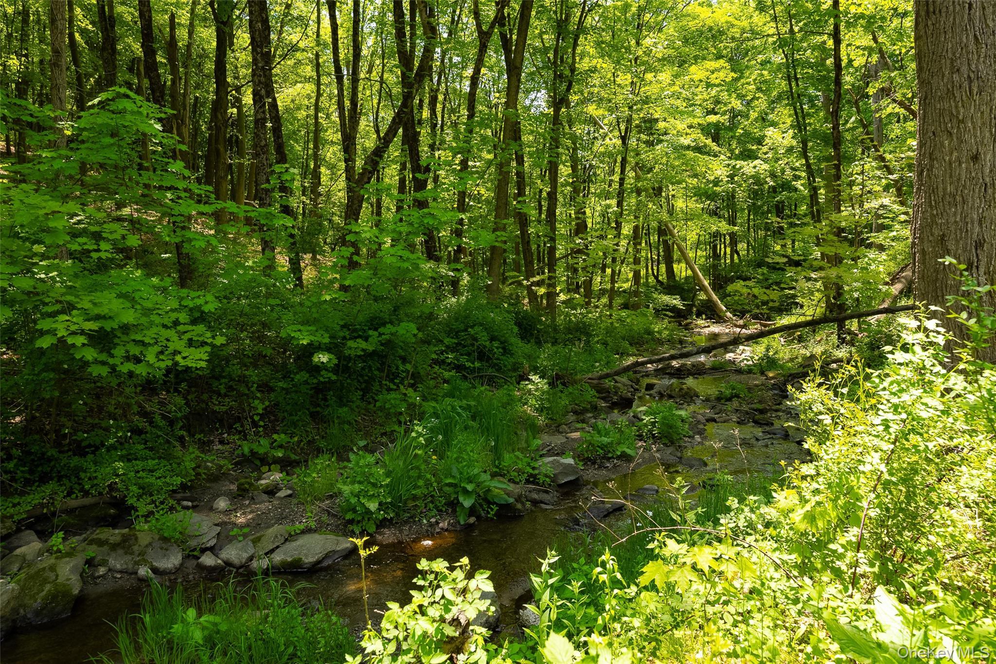 Single Family Pleasant Ridge Road  Dutchess County, NY 12570, MLS-985648-3