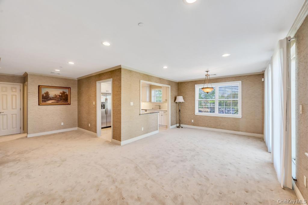 Condo Portico  Nassau County, NY 11021, MLS-985669-11