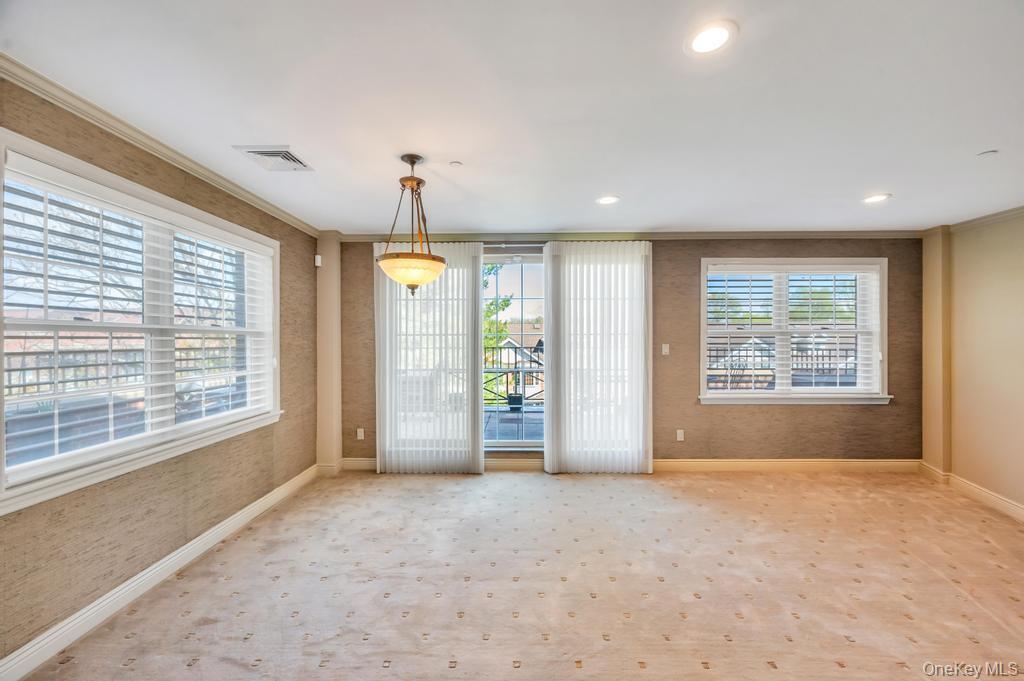 Condo Portico  Nassau County, NY 11021, MLS-985669-12