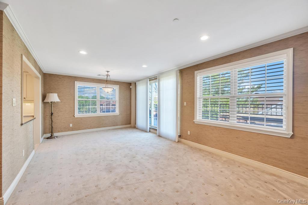 Condo Portico  Nassau County, NY 11021, MLS-985669-13