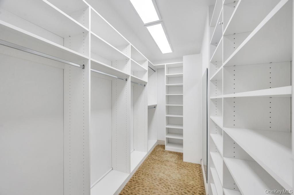 Condo Portico  Nassau County, NY 11021, MLS-985669-32