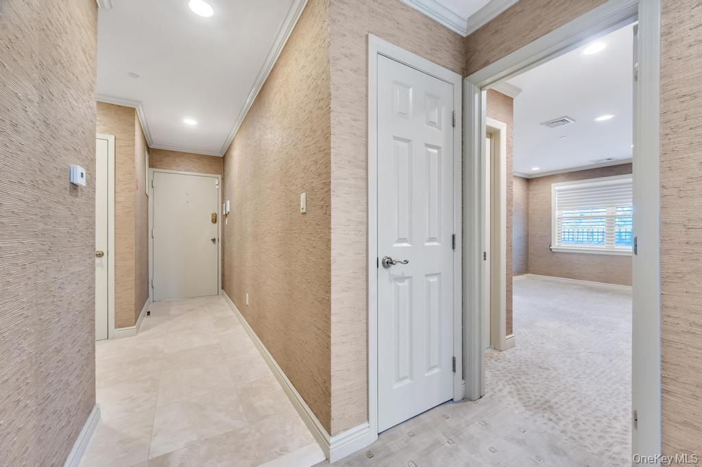 Condo Portico  Nassau County, NY 11021, MLS-985669-6