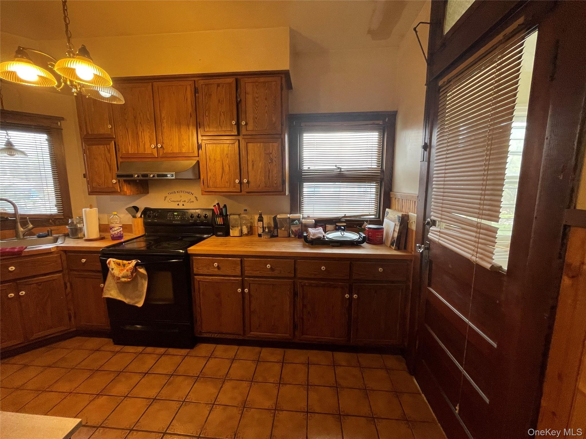 Single Family Route 209 Ulster County, NY 12446, MLS-985736-8