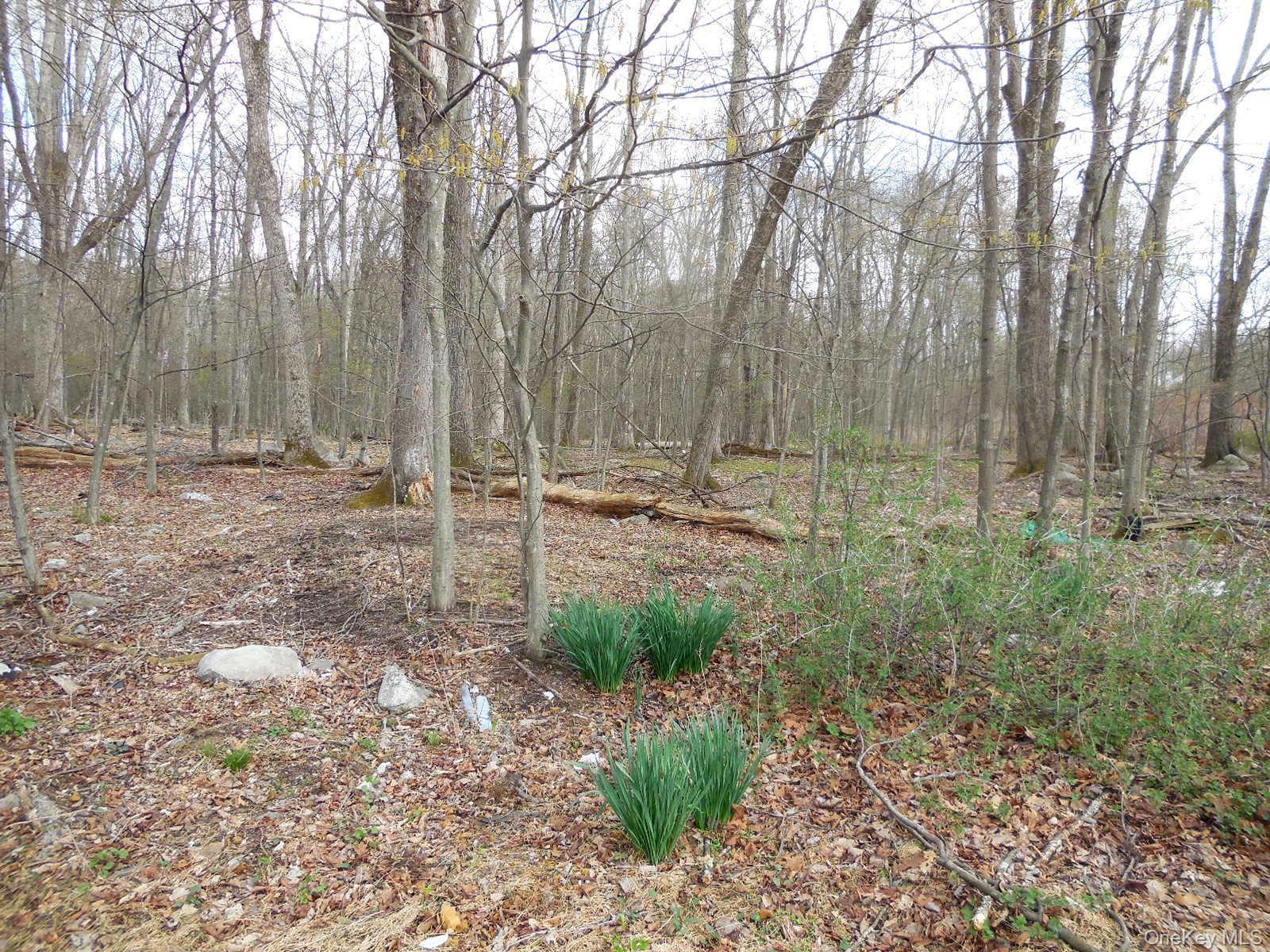 Single Family Lake Shore  Ulster County, NY 12566, MLS-985739-22