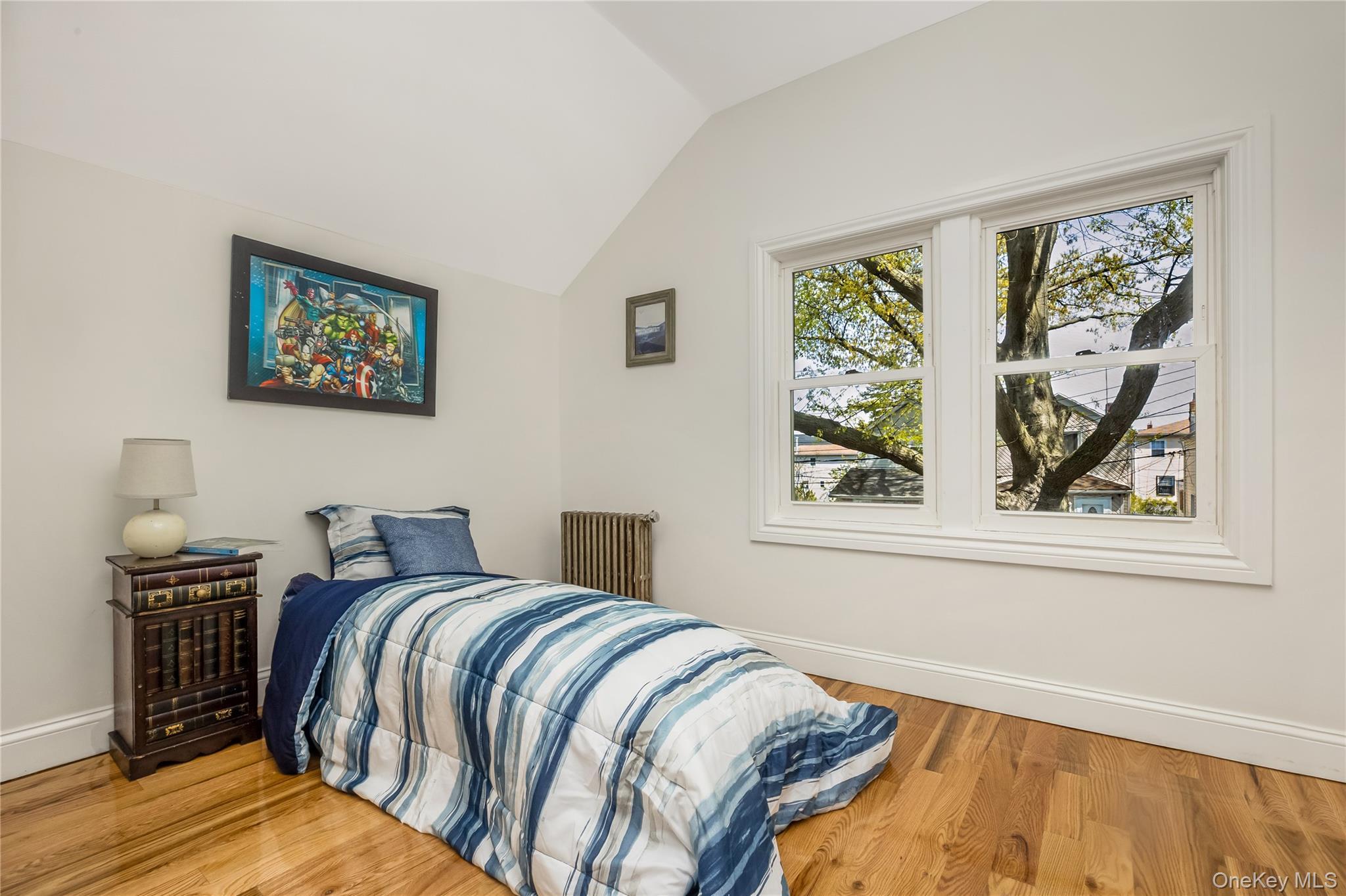 Single Family Sutter  Queens, NY 11436, MLS-985748-8