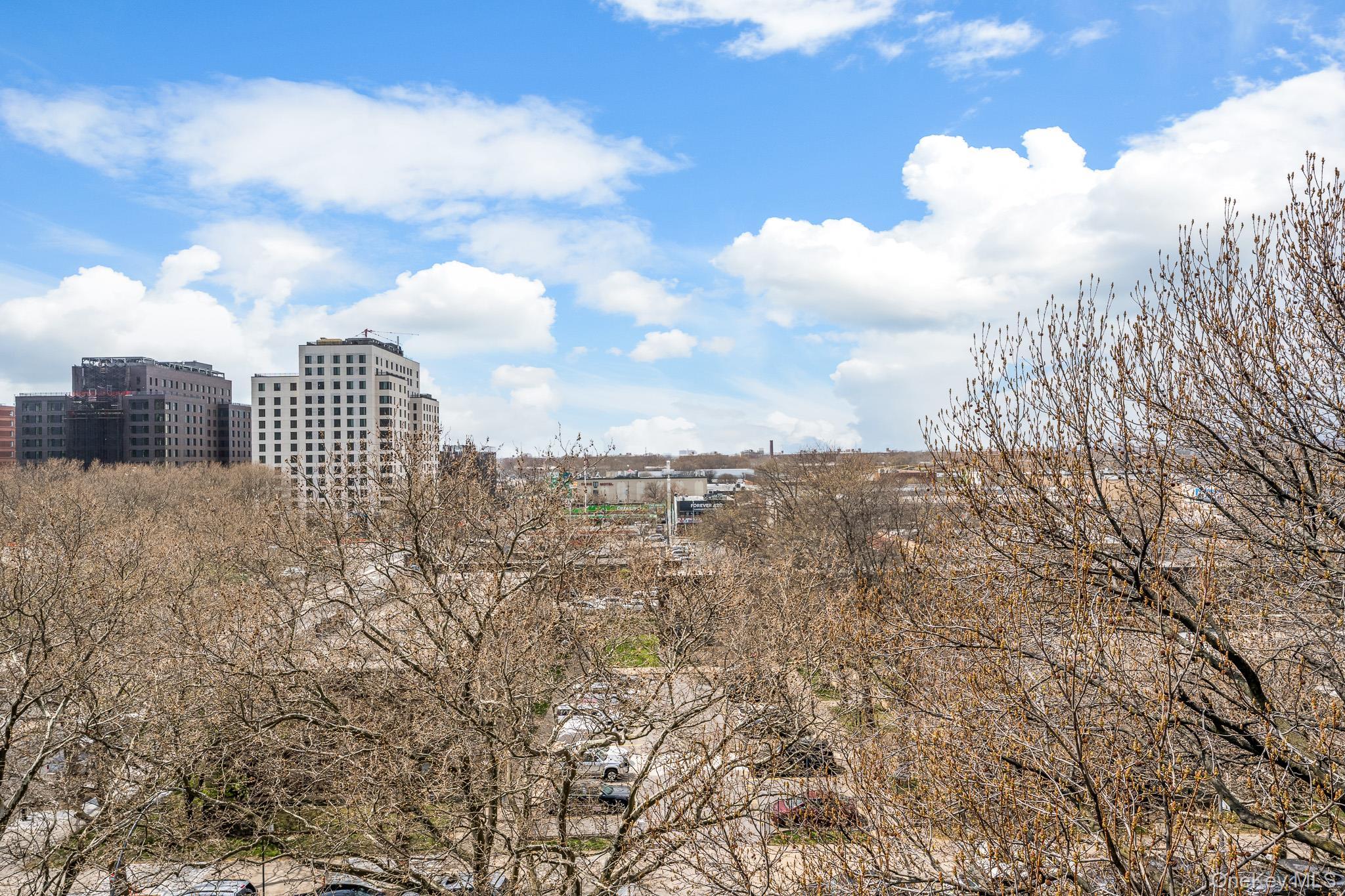 Condo Vermont Brooklyn, NY 11207, MLS-985762-9