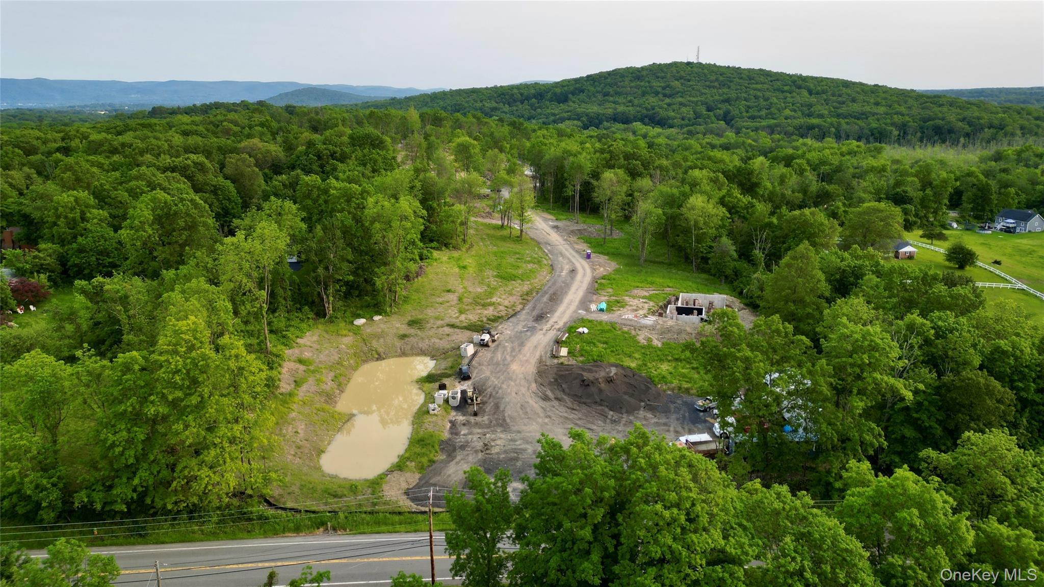 Single Family Black Gum Court Orange County, NY 12550, MLS-985798-11