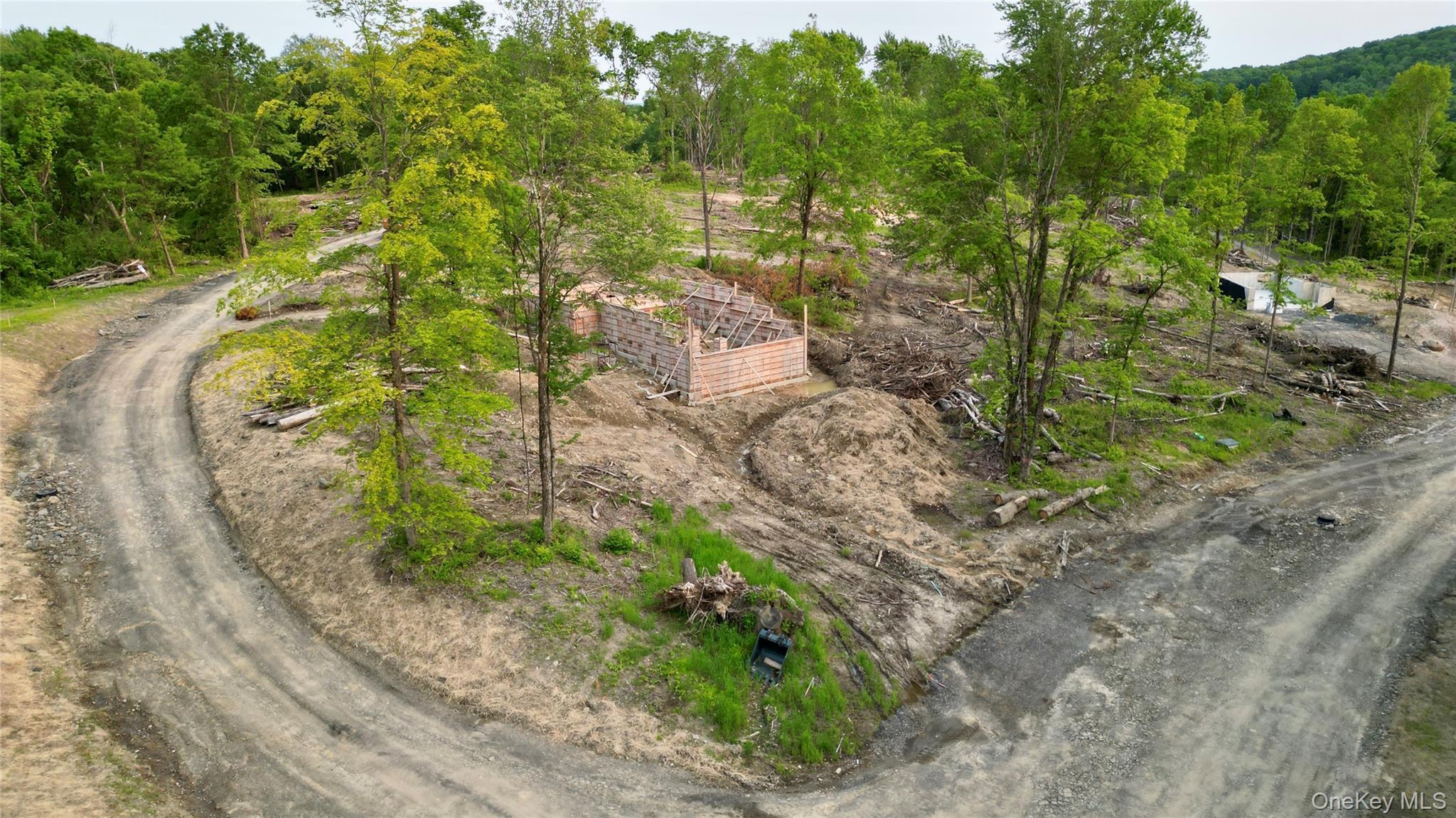 Single Family Black Gum Court Orange County, NY 12550, MLS-985798-18