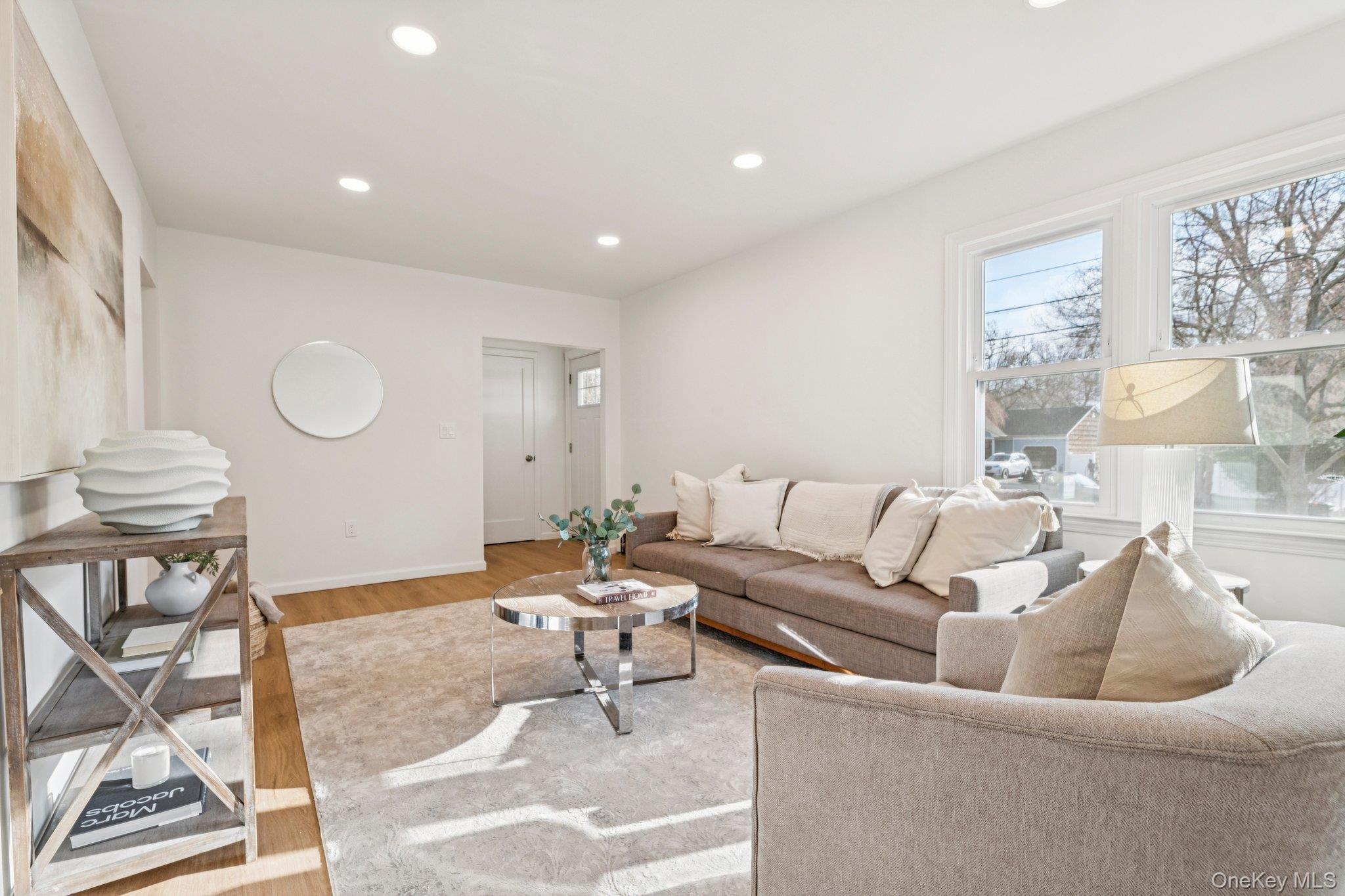 Single Family Nevada  Suffolk County, NY 11763, MLS-985849-4